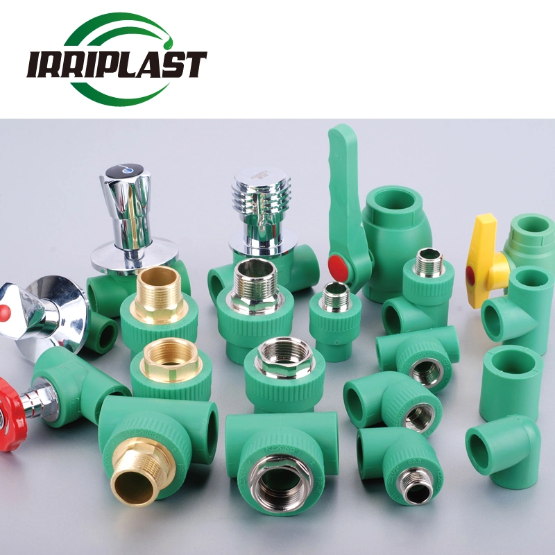 High Quality Low Price HDPE Fitting Plumbing Fitting Plastic Pipe Fitting PPR Pipes for Hot Water